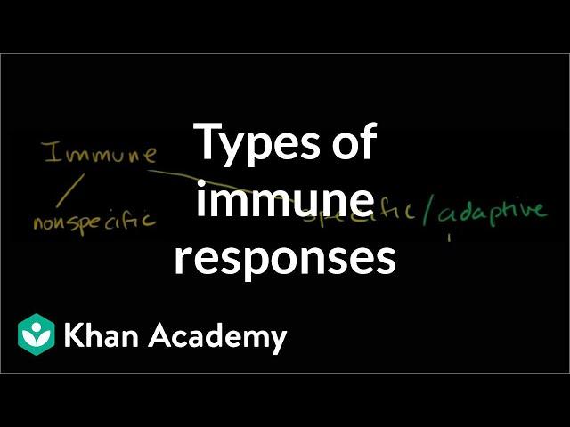 Types of immune responses: Innate and adaptive, humoral vs. cell-mediated | NCLEX-RN | Khan Academy