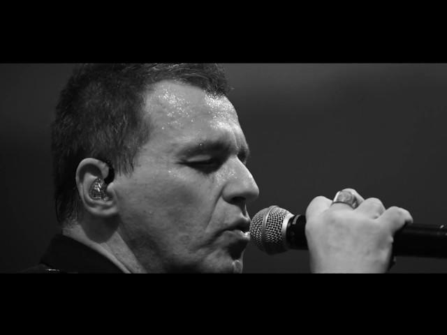 Van Gogh - Akustik koncert 30 godina benda - (LIVE) - (BelExpo Centar 2016)
