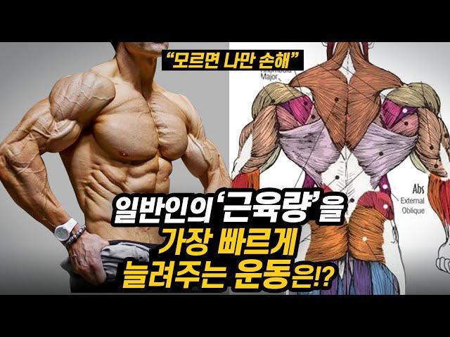 '근육량' 빠르게 늘려주는 운동 1위는 무엇일까? (스쿼트 vs 데드리프트)