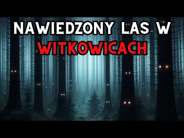 Haunted Forest in Witkowice - Paranormal Activity