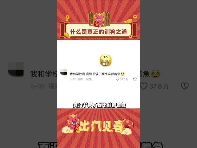 训着训着训成自己了...#娱乐评论大赏 #训狗 #内容过于真实 #shorts  #出门见喜