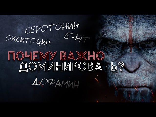 Социальный статус и гормоны / Почему ты должен Доминировать?