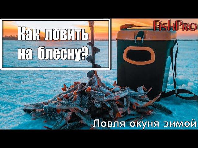 Ловля окуня зимой  Как ловить на блесну? Часть 1