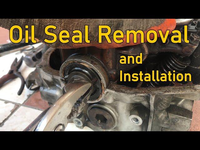 Oil Seal Removal and Installation