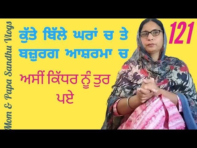 ਕੁੱਤੇ ਬਿੱਲੇ ਘਰਾਂ ਚ ਤੇ ਬਜ਼ੁਰਗ ਆਸ਼ਰਮਾ ਚ #viralvideo #trendingvideo #youtubevideo #motivation #punjabi