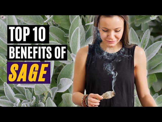 Top 10 Health Benefits of Sage - Nature's Medicinal Herb