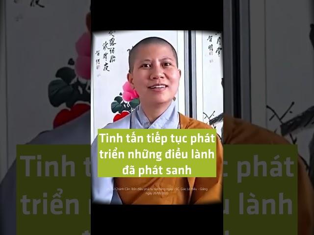 TINH TẤN Phát triển những điều lành đã phát sanh - SC. Giác Lệ Hiếu | Vườn An Yên