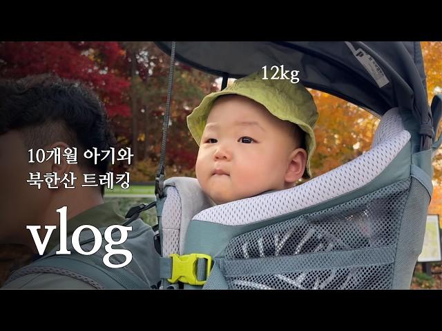 10개월 아기와 북한산 트레킹ㅣ내돈내산-도이터 등산 캐리어 후기ㅣ아기랑 단풍놀이ㅣ아기 김밥 만들기