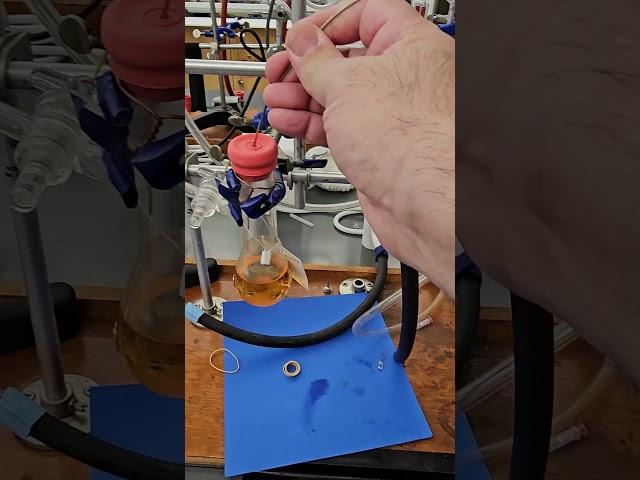 Inorganic Lab 1  Transferring a solution Under Argon #radforduniversity