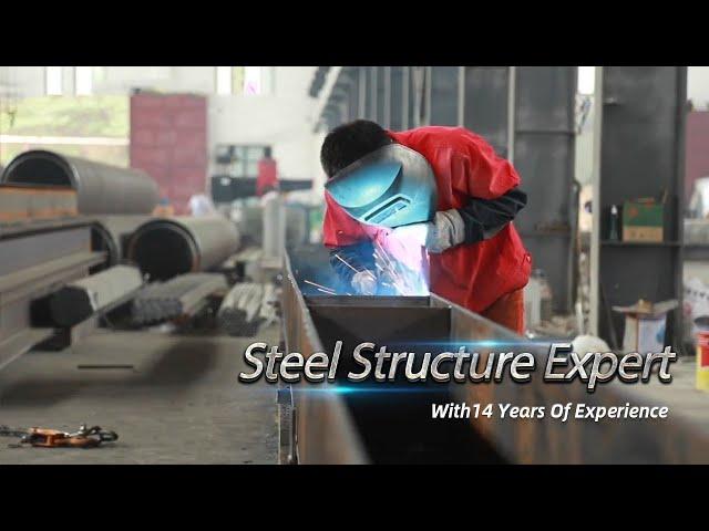 Canglong Steel Structure Company—Steel Structure & Steel Warehouse Supplier