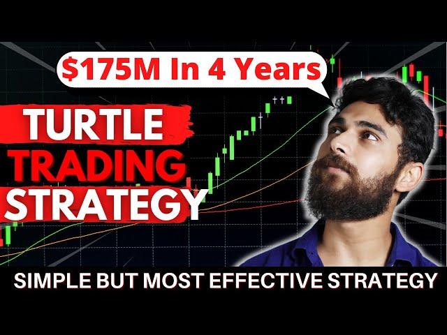 Turtle Trading Strategy | Best Forex Trading Strategy For Beginners | Forex Strategy