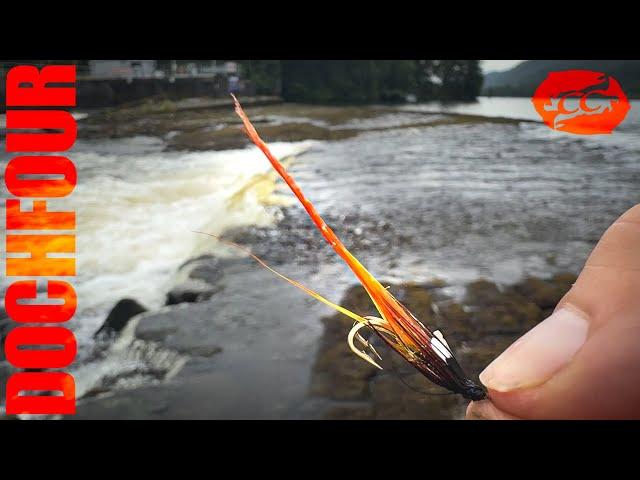 Salmon caught on the fly | Dochfour | salmon fishing Scotland 2024 󠁧󠁢󠁳󠁣󠁴󠁿