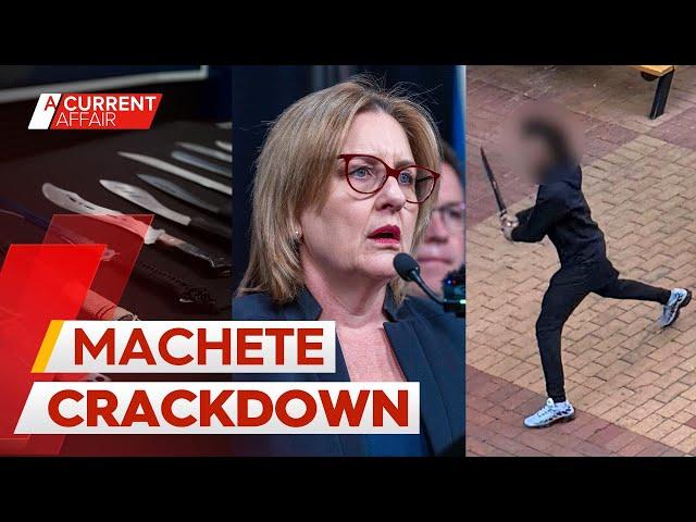 Extraordinary ban placed on machetes after shopping centre brawl | A Current Affair