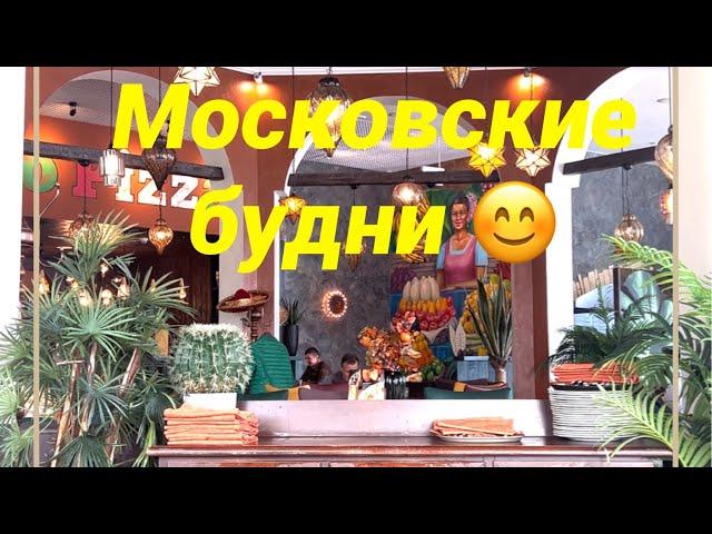 Московские будни покупка одежды, косметики продуктов, наши питомцы, цветы на даче и тд #влог #дом