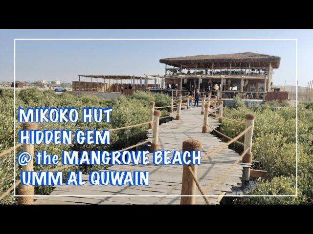 MIKOKO HUT - the MANGROVE BEACH UMM AL QUWAIN | HIDDEN GEM IN UAE