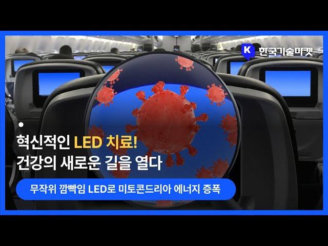 무작위 깜빡임 주기로 광 조사 효과 극대화: 새로운 의료 혁신 (광조사, 적색LED, 근적외선LED)