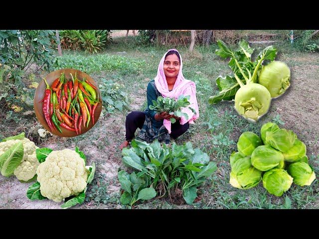 सब्जियों की नर्सरी आज घर पर ही उठा लाये । कौन कौन से नए पौधे लाये हम