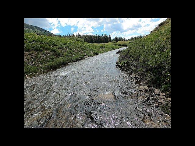 Fly Fishing the East River in Colorado