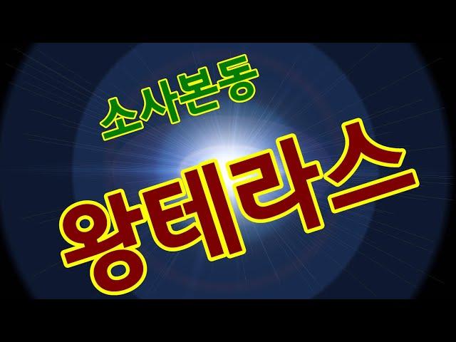 소사본동 신축빌라 큰 왕테라스세대 소사역5분,소새울역 3분