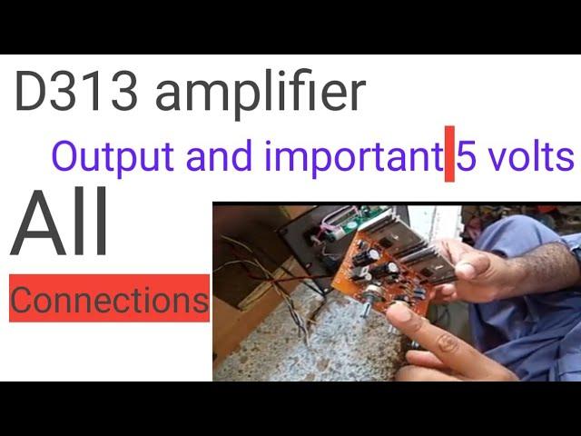 D313  amplifier output and important 5volts all connection