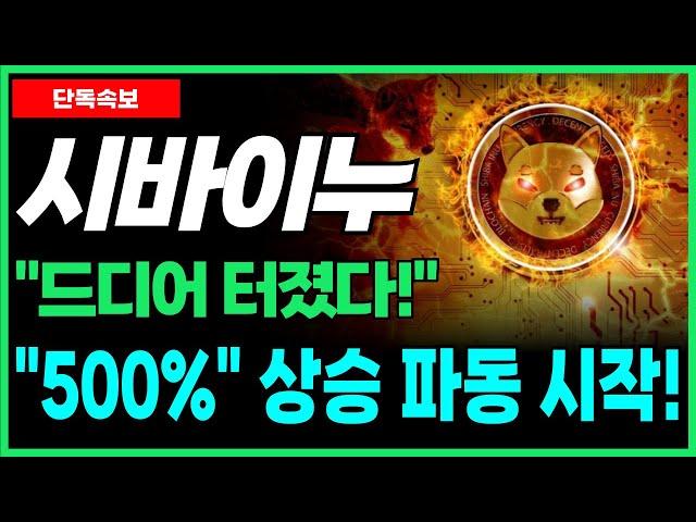 [시바이누 코인 전망] 드디어 터졌다! '밈코인' 1대장, "500%" 상승 파동 먹는 방법! 필수시청!