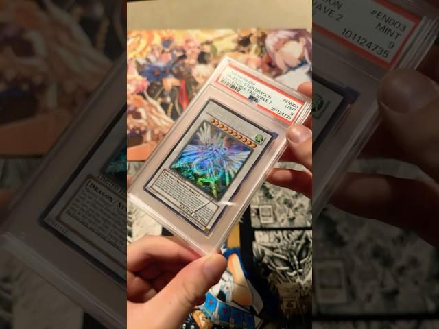 @Ruxin34 Sent Me This MAJESTIC PSA 9 SLAB! #anime #yugioh #yugioh5ds #yusei #yuseifudo #yugiohtcg