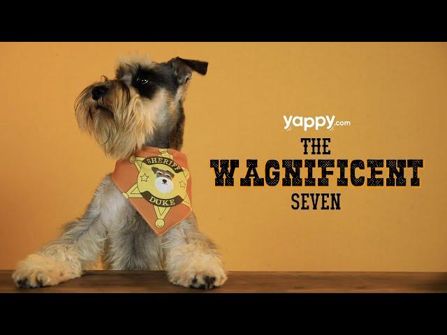 Wagnificent 7 - November's YappyBox | Yappy.com