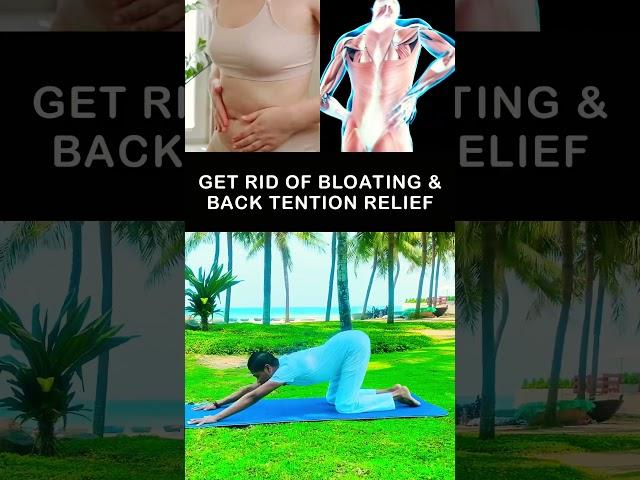 Gas & Bloating + Backache Relief #gasrelief #backache
