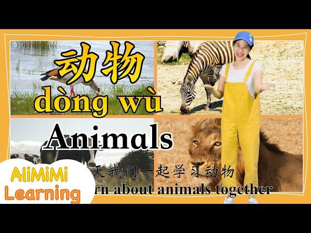 Learn about Animals in Chinese | Learn 30 Animals in Chinese | 学习动物 | 30种动物