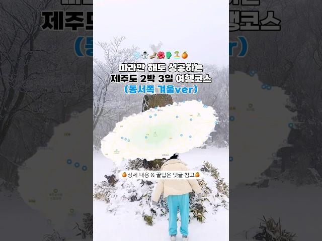 눈 오는 제주️ 겨울 제주도 여행 2박 3일 코스 다 알려줌