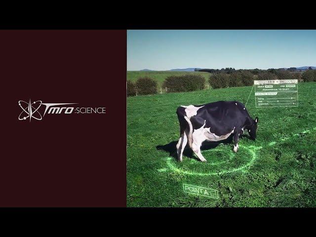 Artificial Intelligence Controlled Cows - Discovery 01.09