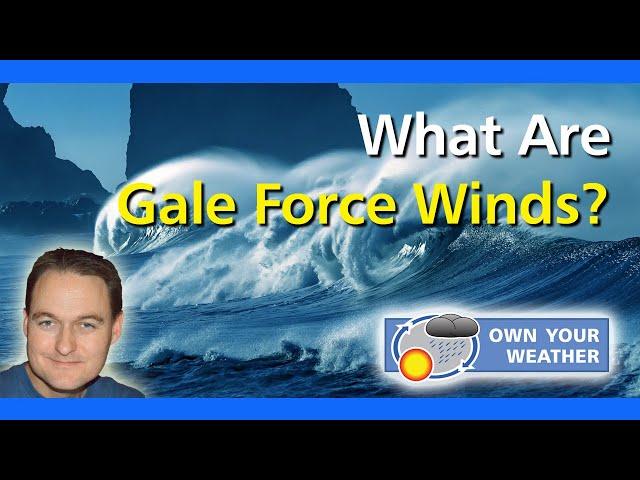 What Are Gale Force Winds?