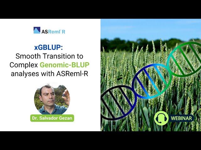 xGBLUP: Smooth Transition to Complex Genomic-BLUP analyses with ASReml-R (Webinar)