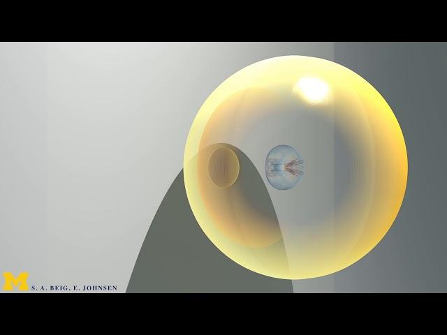 Inertial collapse of a single bubble near a solid surface