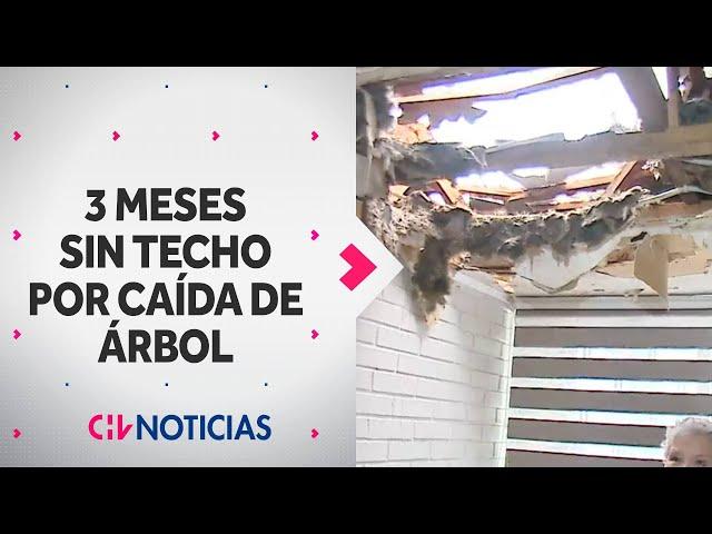 LLEVA 3 MESES SIN TECHO por caída de un árbol en su casa: Exige solución de municipio de La Florida