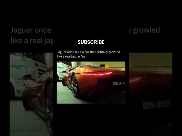 Jaguar took their name very literally. #jaguar #cars #youtubeshorts #technology #supercars #youtube