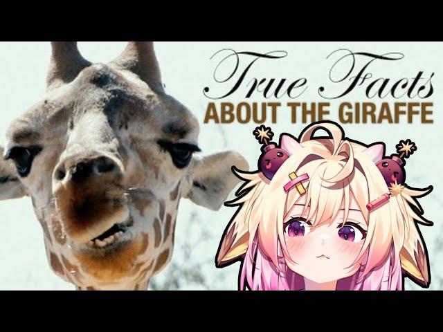 True Facts: The Wacky Giraffe | Rosiebellmoo Reacts To Ze Frank