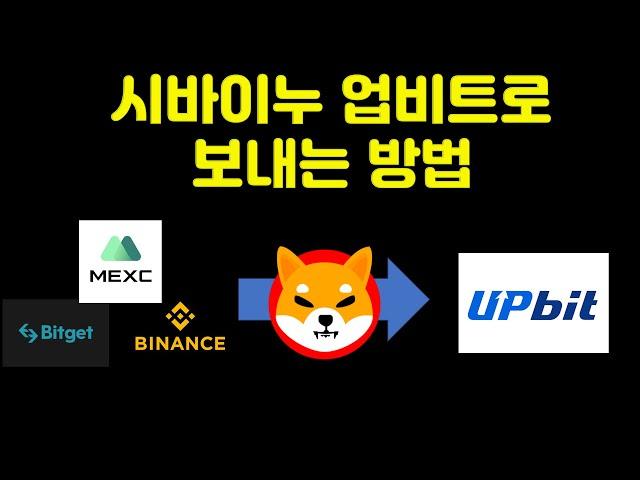 업비트 시바이누 상장! 해외 거래소에서 업비트로 시바이누 보내는 방법(Feat.바이낸스)