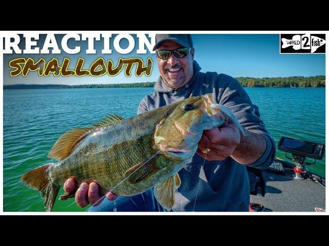 The Best All-Around Smallmouth Bass Presentation