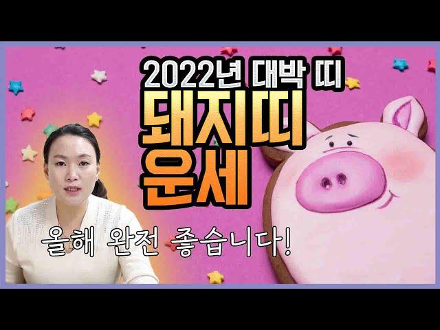 2022년 돼지띠 운세 | 올해 완전 좋습니다 기대하세요