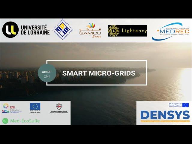 Smart Micro-Grid systems: Performance analysis and Energy trading in the Mediterranean