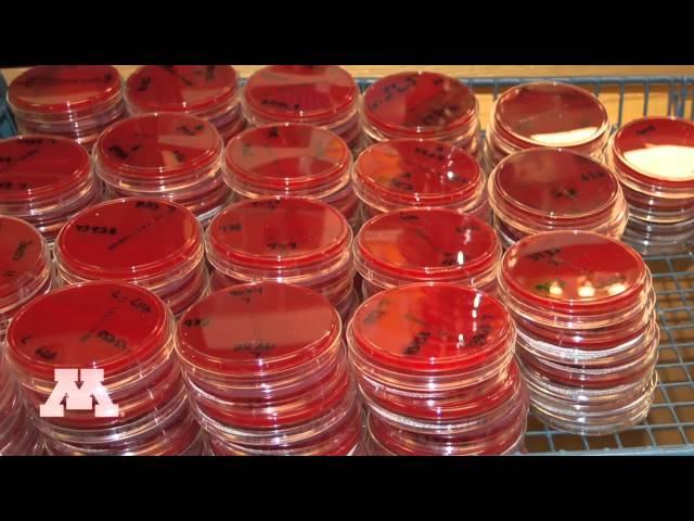Veterinary Diagnostic Laboratory