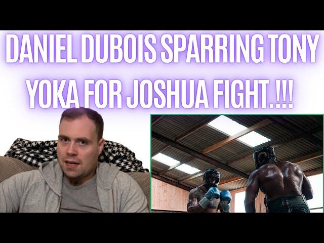 DANIEL DUBOIS SPARRING TONY YOKA AHEAD OF ANTHONY JOSHUA FIGHT…!!!