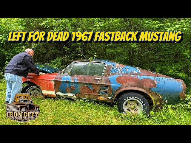 Will it run?? 1967 Fastback Mustang. Rescued from WV holler! ￼