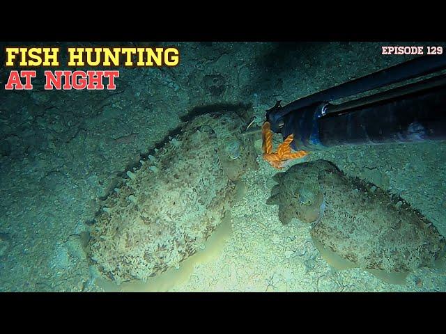 NIGHT SPEARFISHING EPISODE 129 | FISH HUNTING AT NIGHT