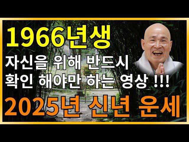 2025년 1966년생 대박나는 말띠 운세, 말띠 2025년 운세, 2025년 말띠 운세, 1966년생 2025년 말띠 운세