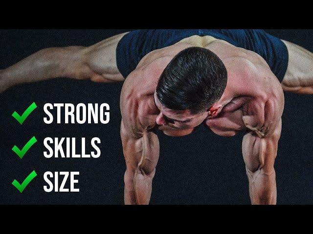 The Perfect Calisthenics Workout | FULL BODY!!