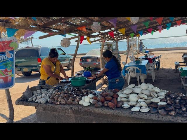 Yavaros tierra del Mariscos fresco y buenos Pescadores