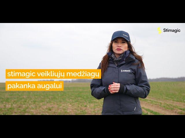 STIMAGIC - skamba magiškai, veikia praktiškai!