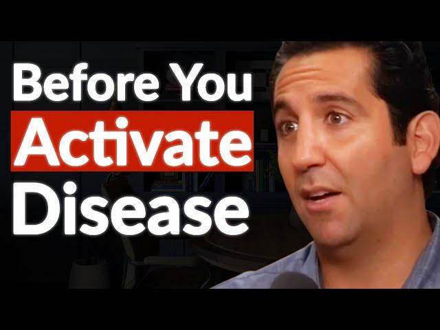 "Big Triggers Of Autoimmune Disease & Inflammation!" - Best Way To Reverse It ASAP | Elroy Vojdani